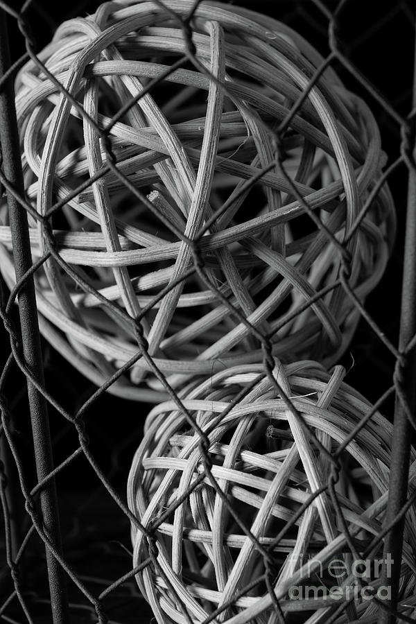 Abstract Wire and Spheres Photograph by Edward Fielding