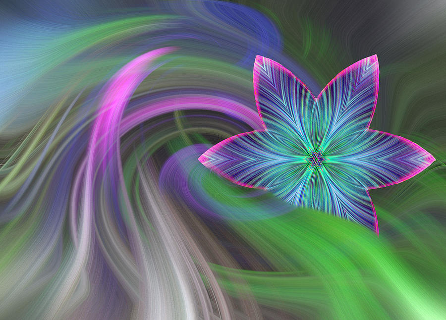 Abstract with Star Photograph by Linda Phelps