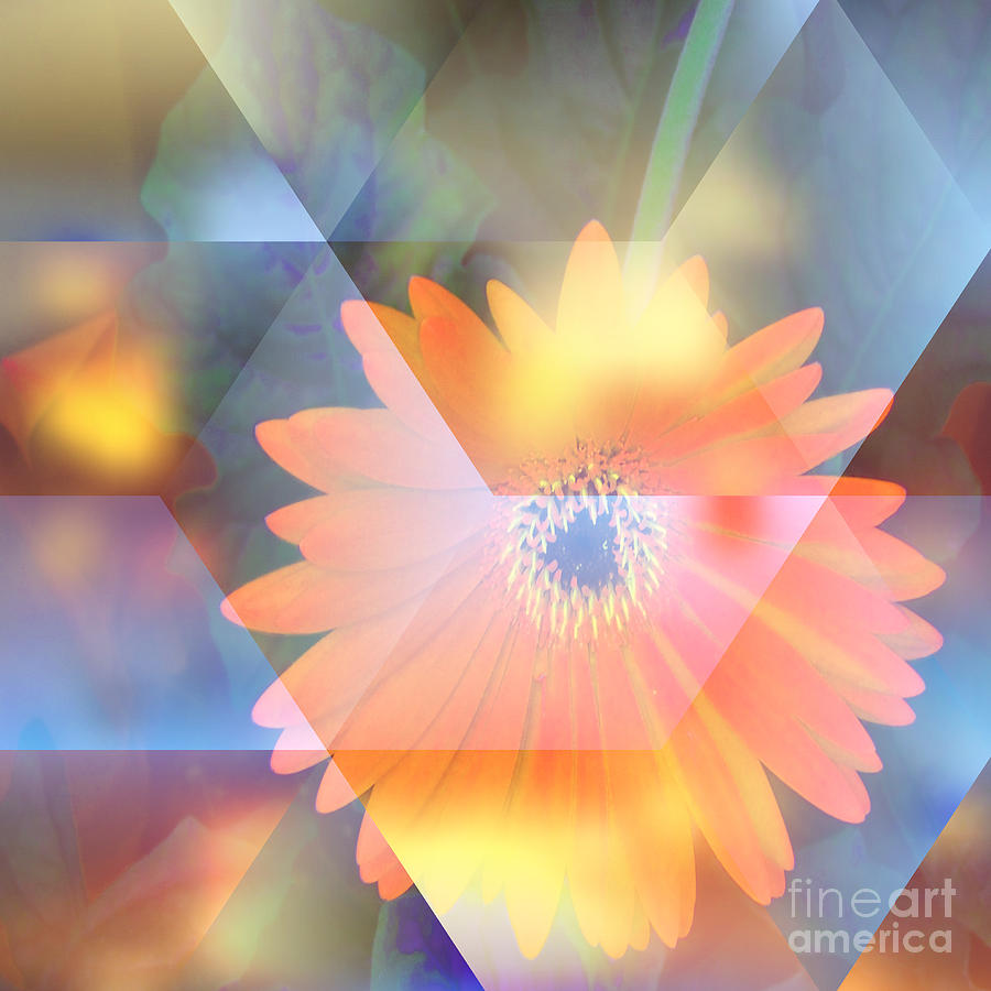 Abstract Digital Art - Abstract Your Flower by Beverly Guilliams