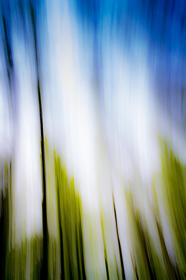 Abstraction Of Blur Photograph by David Pyatt