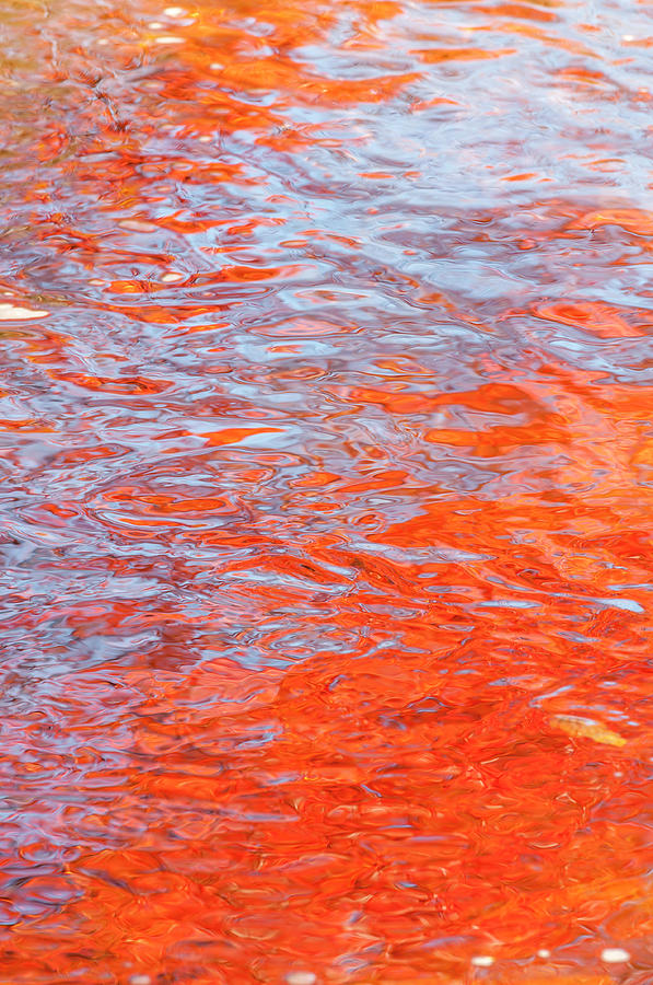 Water color abstraction of reflections. Photograph by Usha Peddamatham