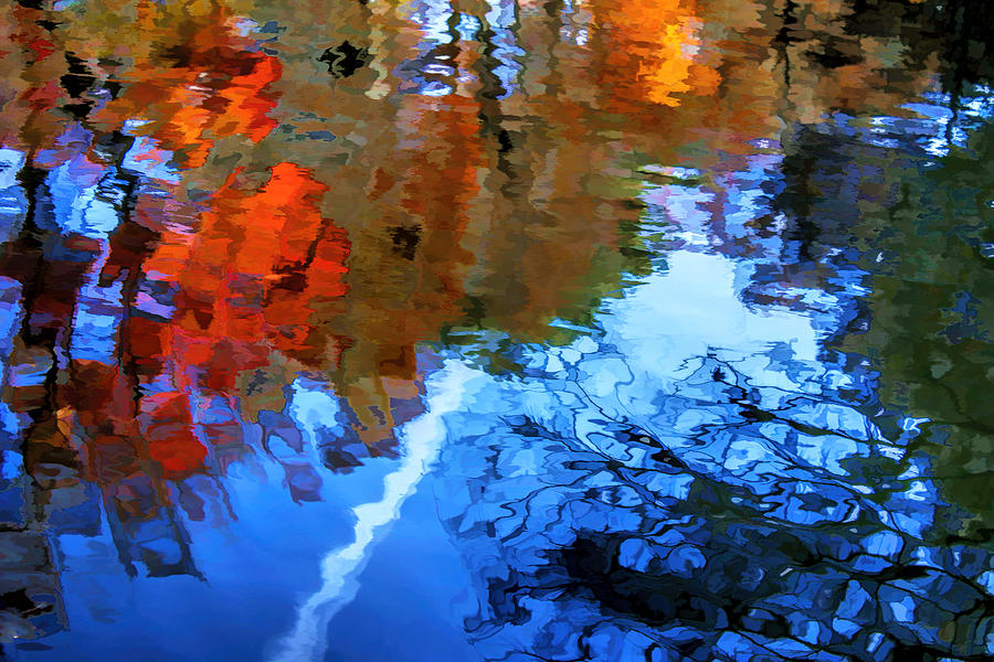 Abstractions in Autumn Photograph by Ola Allen