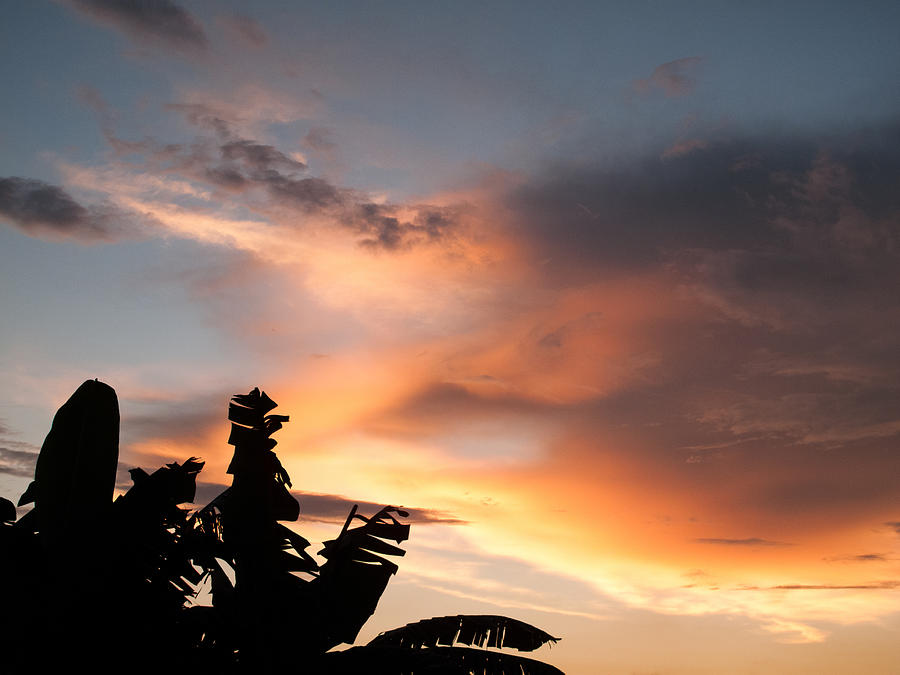 Abuja Sunset Photograph by Hakon Soreide