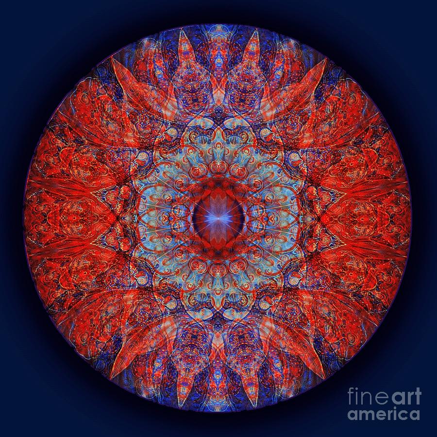 Abundance Mandala Painting by Hanna Liina Pixels