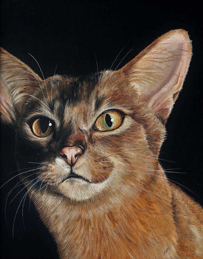 Abyssinian by Katie McConnachie Abyssinian by Katie McConnachie