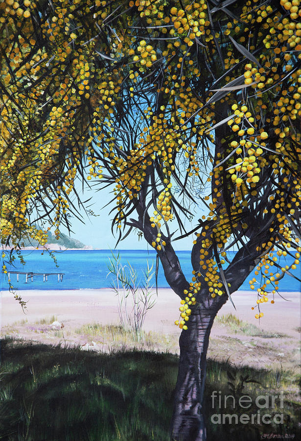 Acacia Shade Painting by Carol Bostan