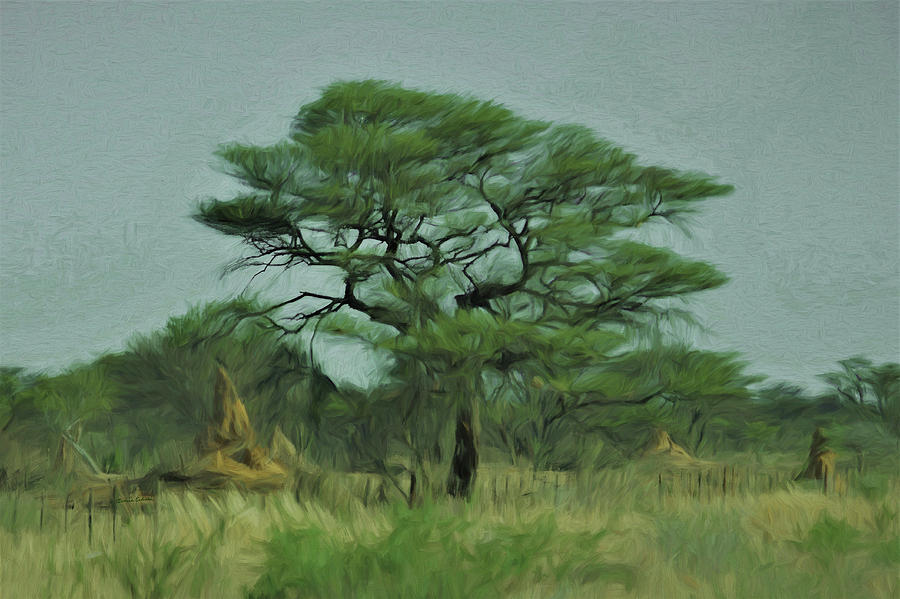 Acacia tree and Termite hills Digital Art by Ernest Echols
