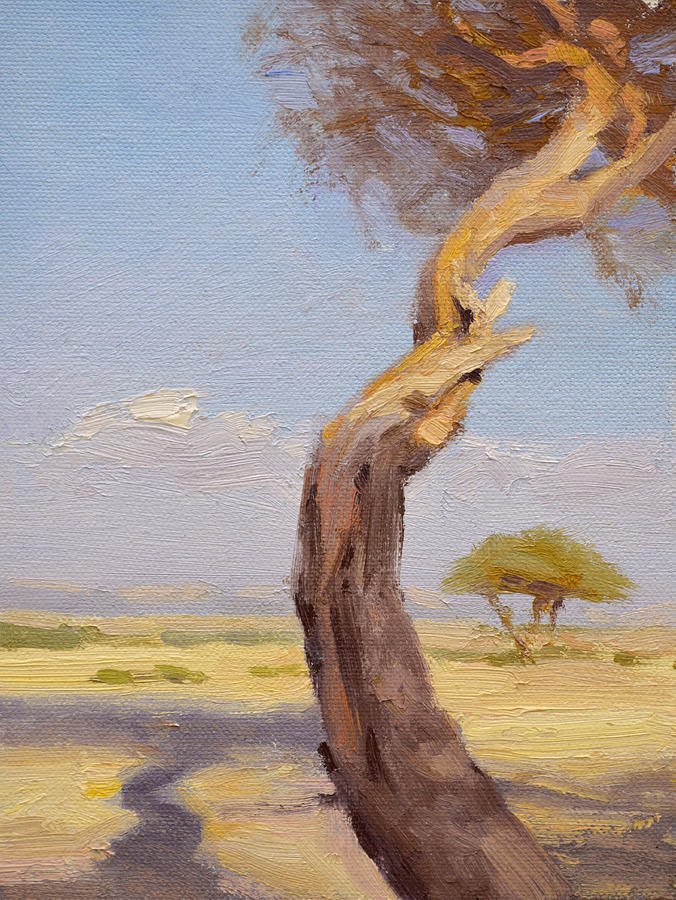 Tree Painting - Acacia Twisty by Ben Hubbard