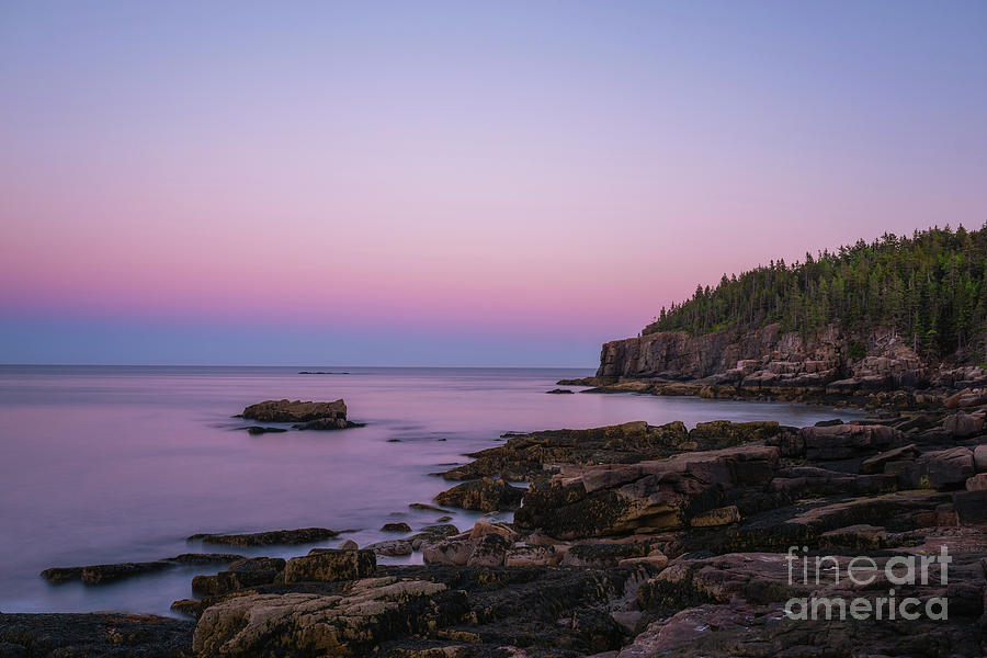 Acadia Coastline at Dusk  Photograph by Michael Ver Sprill