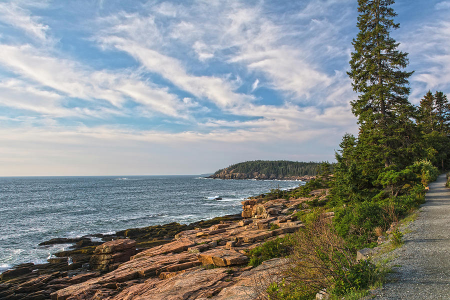 Acadia National Park Photograph - Acadia Coastline In Early Morning Light by Angelo Marcialis