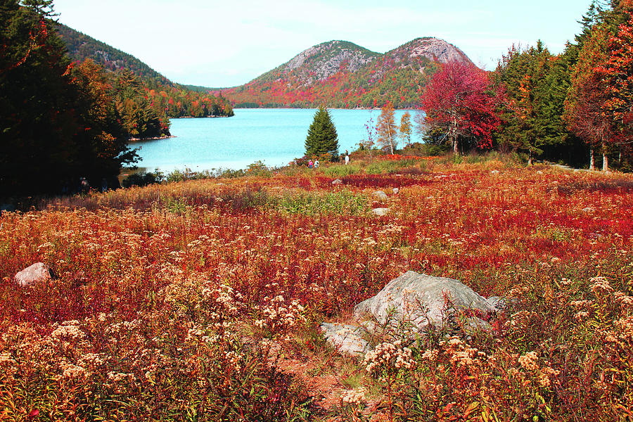 Acadia Fall #3 Photograph by Imagery-at- Work