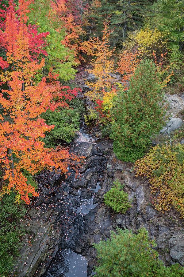 Acadia Fall Colors 2 Photograph by Paul Schultz