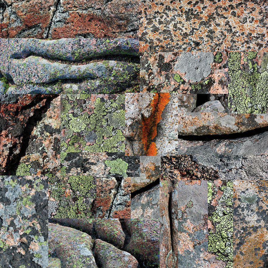 Acadia Granite Collage 5 Photograph by Mary Bedy