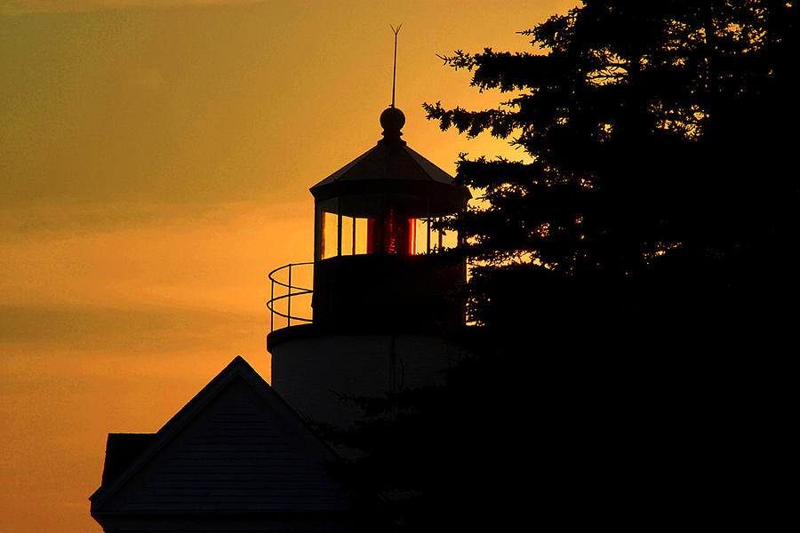 Acadia Lighthouse Photograph by Barry Shaffer - Fine Art America