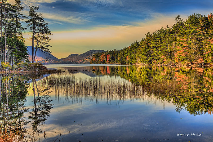 Fall Photograph - Acadia National Park, Maine by Barbara Vietzke
