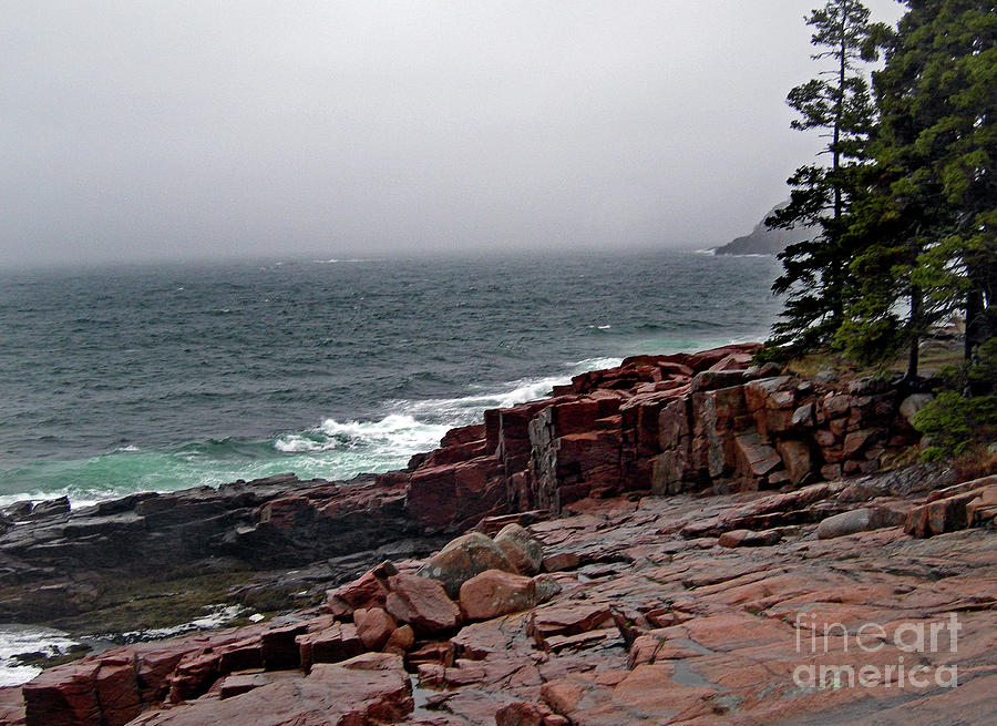 Acadia National Park Photograph by Skip Willits