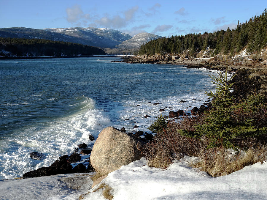 Winter, Otter Cove, Acadia National Park Photograph by Kevin Shields