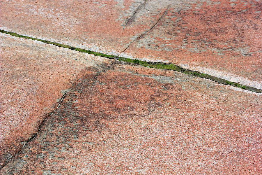 Acadia Red Granite Photograph by Mary Bedy