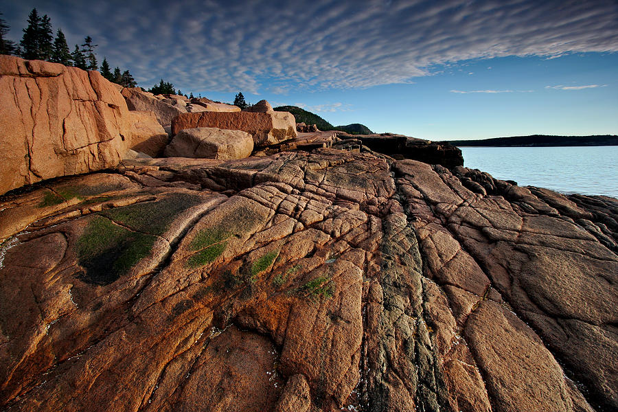 Acadia Rocks Photograph by Neil Shapiro