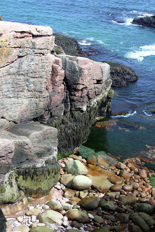 Acadia Shoreline with Large Boulders Photograph by Mary Bedy