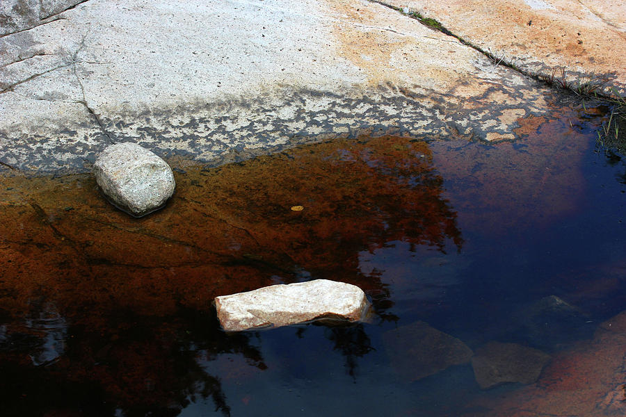 Acadia National Park Photograph - Acadia Tide Pool with Leaf by Mary Bedy