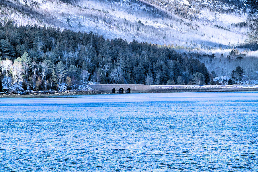 Acadia Winter Photograph by Elizabeth Dow