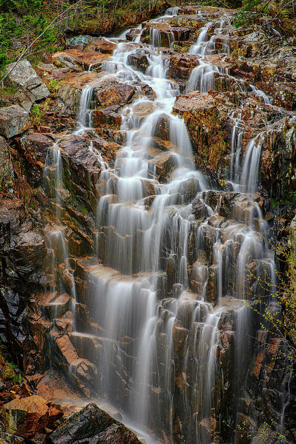 Acadia National Park Photograph - Acadias Hadlock Falls by Rick Berk