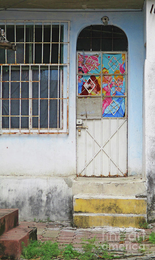 Acapulco Door 3 Photograph by Randall Weidner
