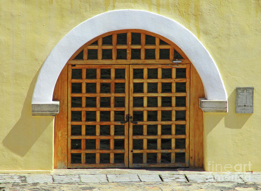 Acapulco Door 5 Photograph by Randall Weidner