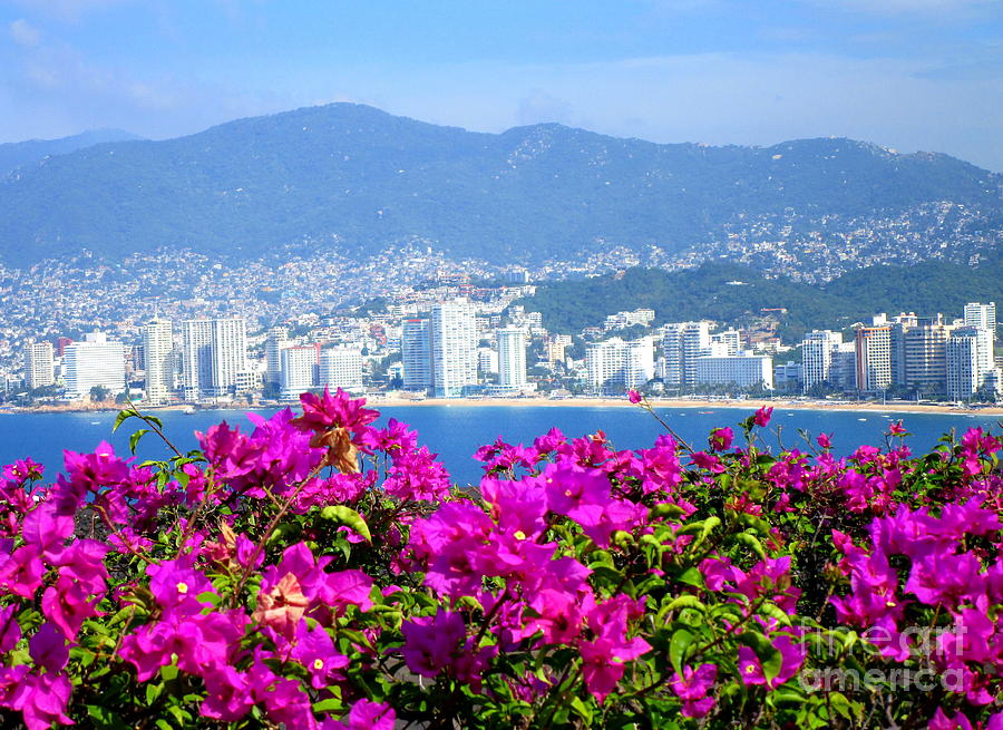 Acapulco Viewpoint Photograph by Randall Weidner