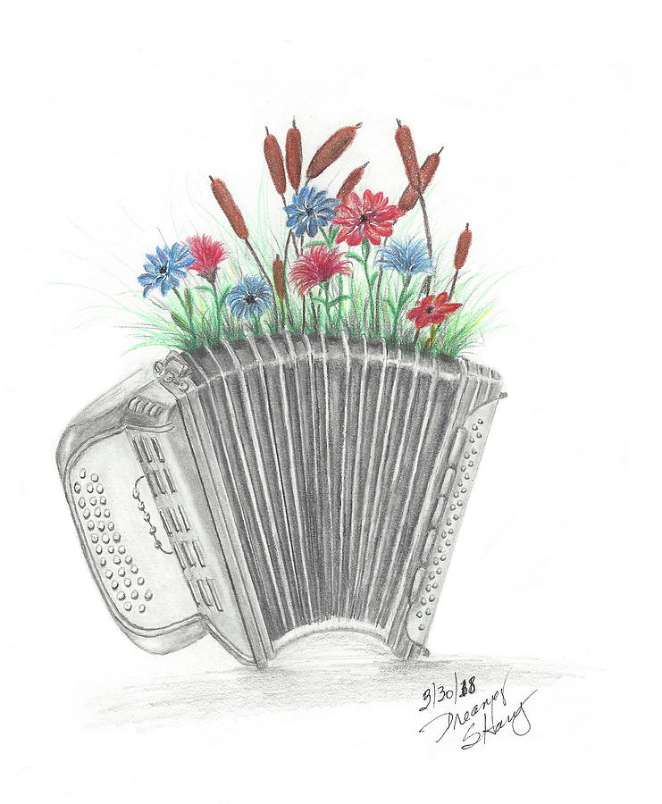 Flower Drawing - Accordion to My Garden by Sherry Haney