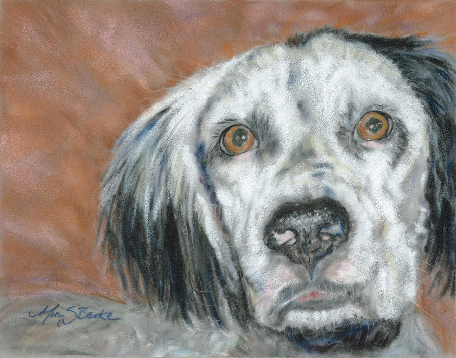 Dog Painting - Ace by Mary Benke