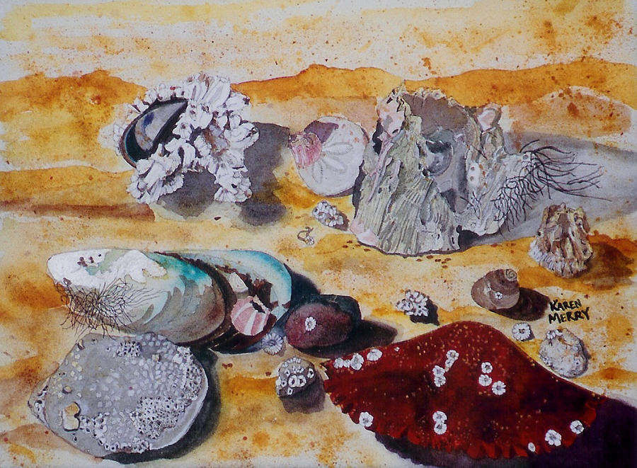 Acorn Barnacles Painting by Karen Merry