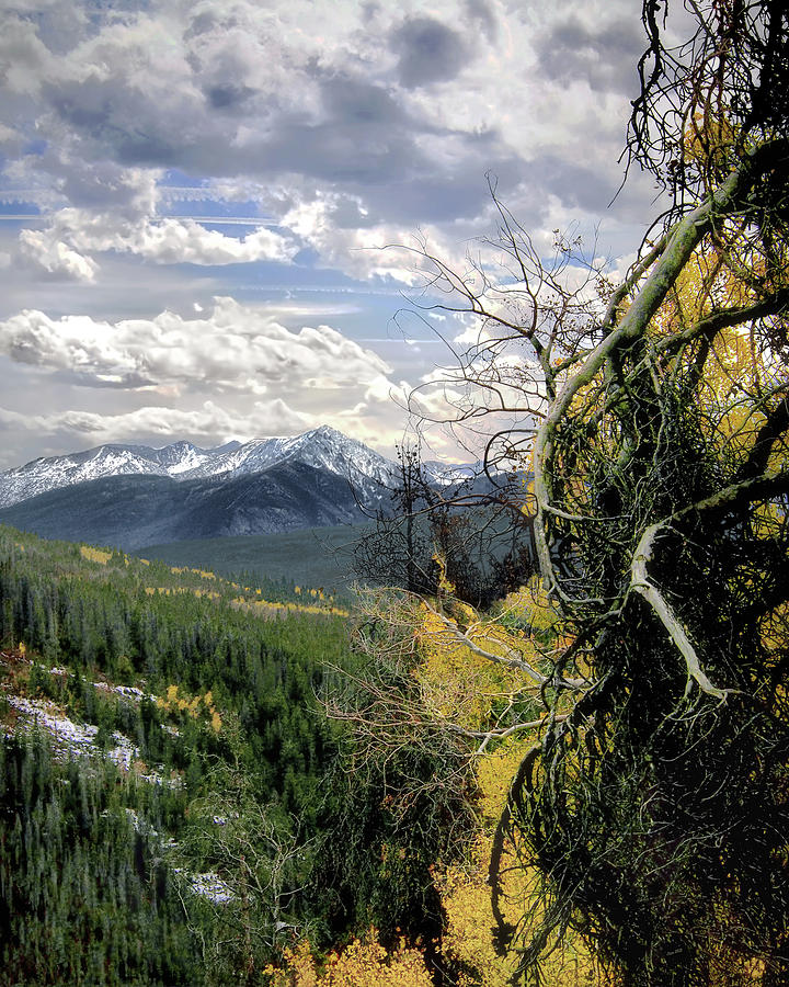 Acorn Creek Trail Photograph by Jim Hill
