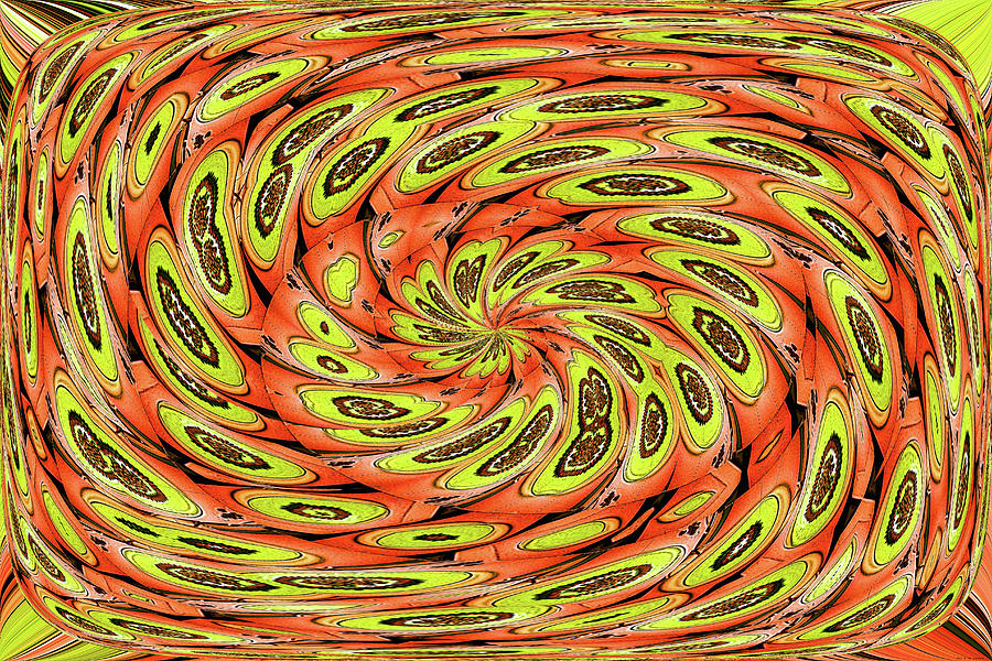 Acorn Nuts On Dish Abstract #4 Digital Art by Tom Janca