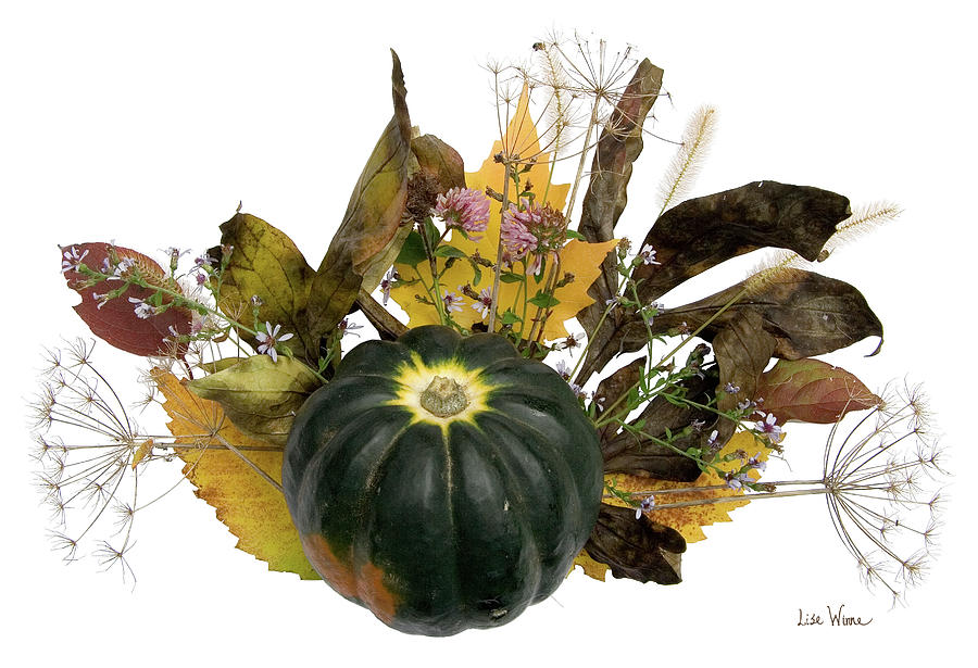Acorn Squash Bouquet Digital Art by Lise Winne