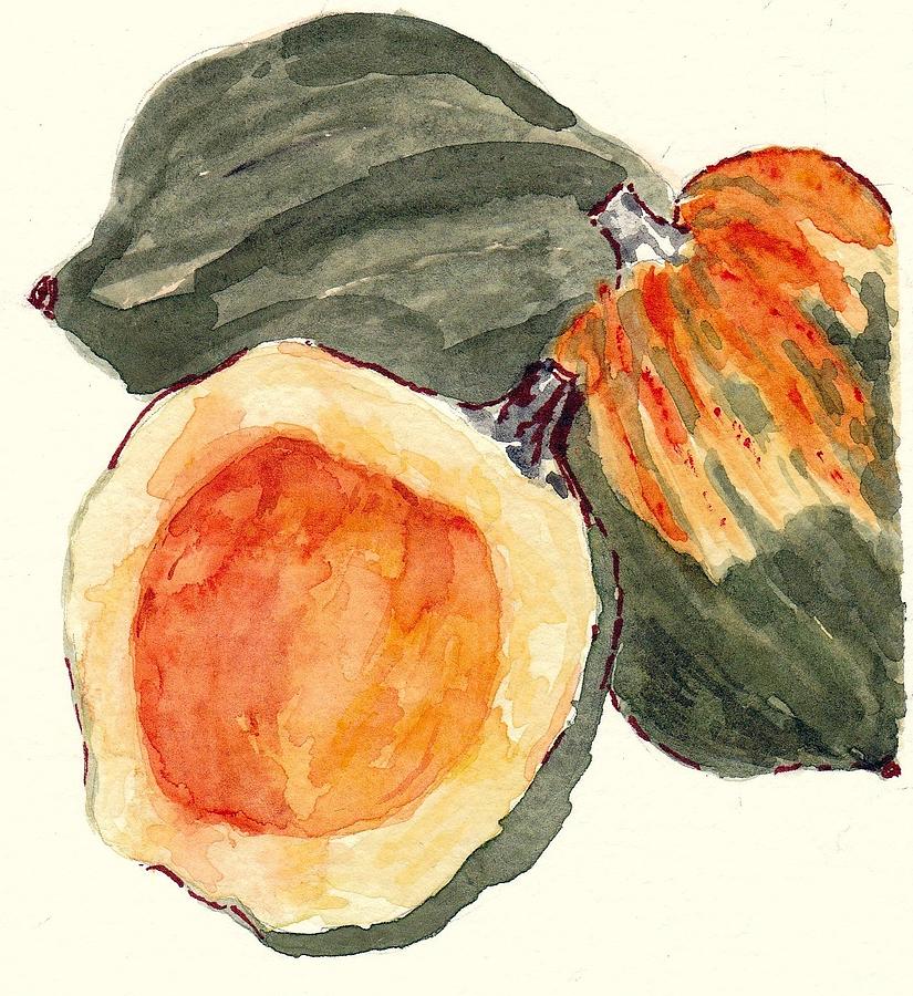 Acorn Squash Painting by Jane Hayes