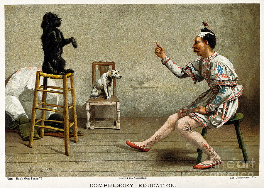 Acrobat Teaching Dog New Tricks, 1889 Photograph by Wellcome Images