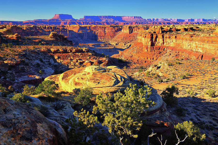 Across Canyonlands Photograph by Greg Norrell