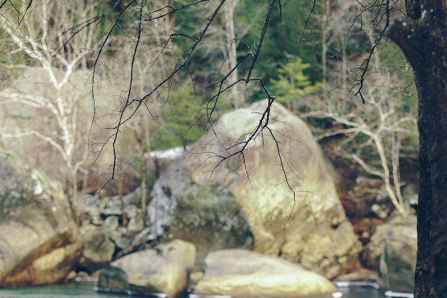 Eagle Photograph - Across From Eagle Falls by Amber Flowers