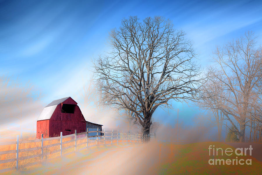 Explore Photograph - Across The Fence by Larry Braun Explore Photograph - Across The Fence by Larry Braun