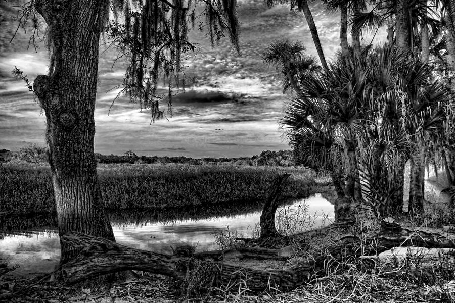Black And White Photograph - Across the Myakka Marsh by HH Photography of Florida