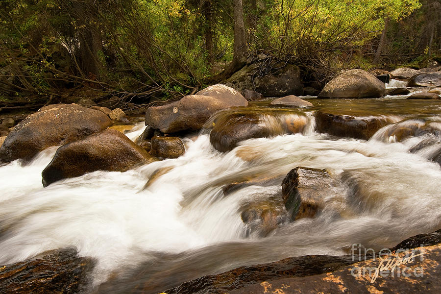 Rocky Mountain National Park Photograph - Across the St. Vrain by Bon and Jim Fillpot