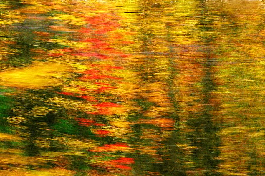 Fall Photograph - Across the Universe by Randy Pollard