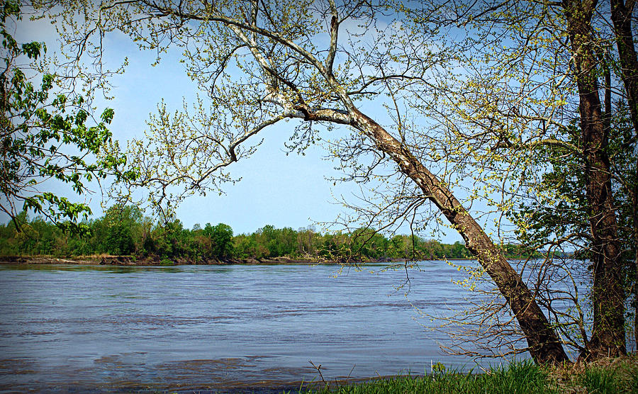 Tree Photograph - Across the Wide Missouri by Cricket Hackmann