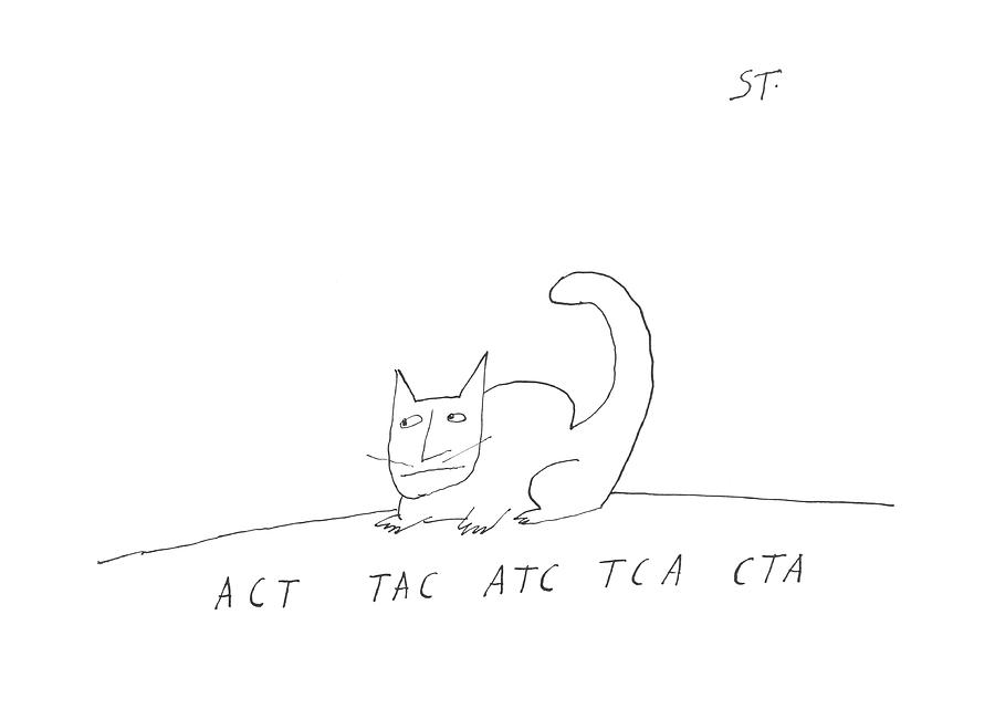Act Tac Atc Tca Cta Drawing by Saul Steinberg