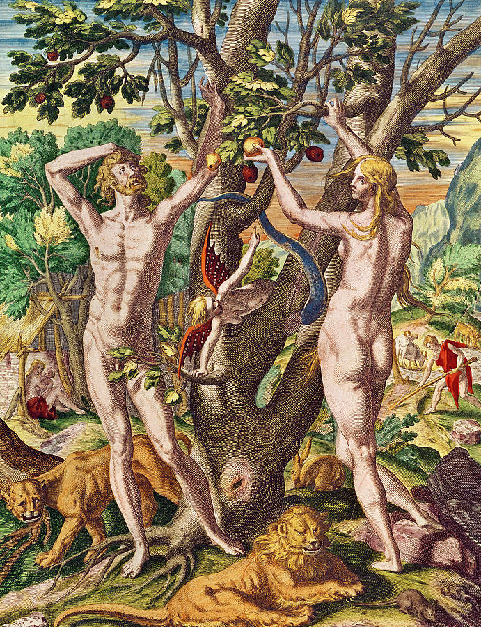 Theodore De Bry Painting - Adam and Eve by Theodore de Bry