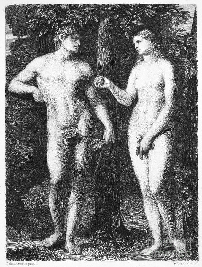 Adam & Eve Photograph by Granger