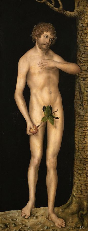 Adam Painting by Lucas Cranach the Elder