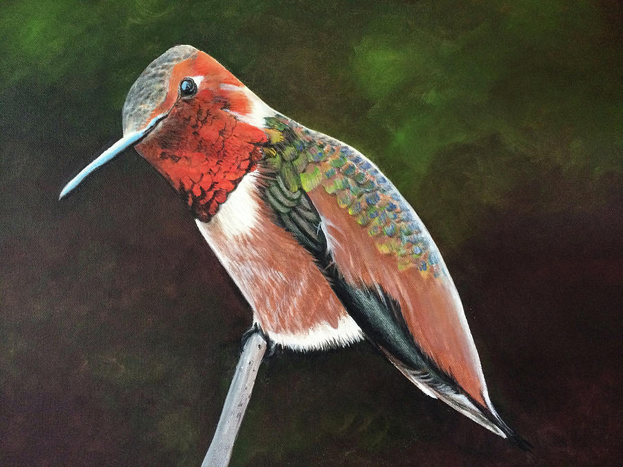 Adam the hummingbird Painting by Barbara Andrews